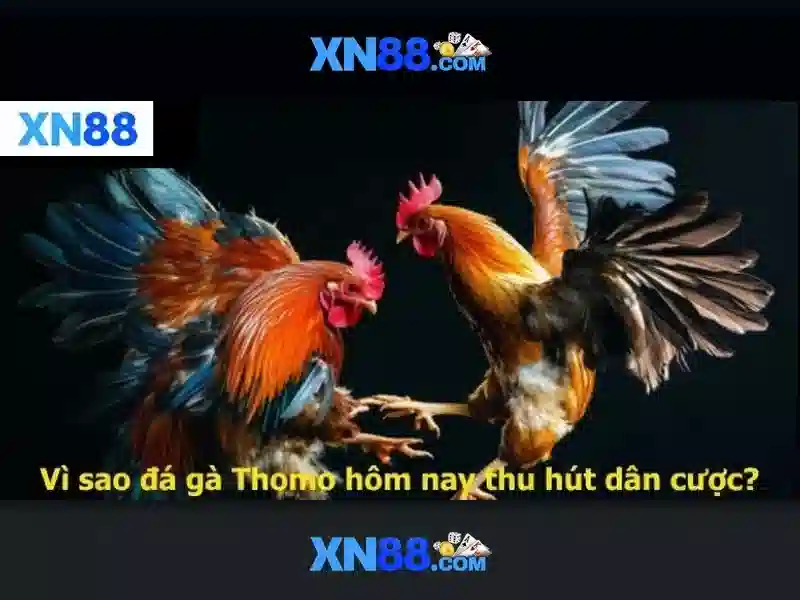 Tương lai và cam kết của xn88