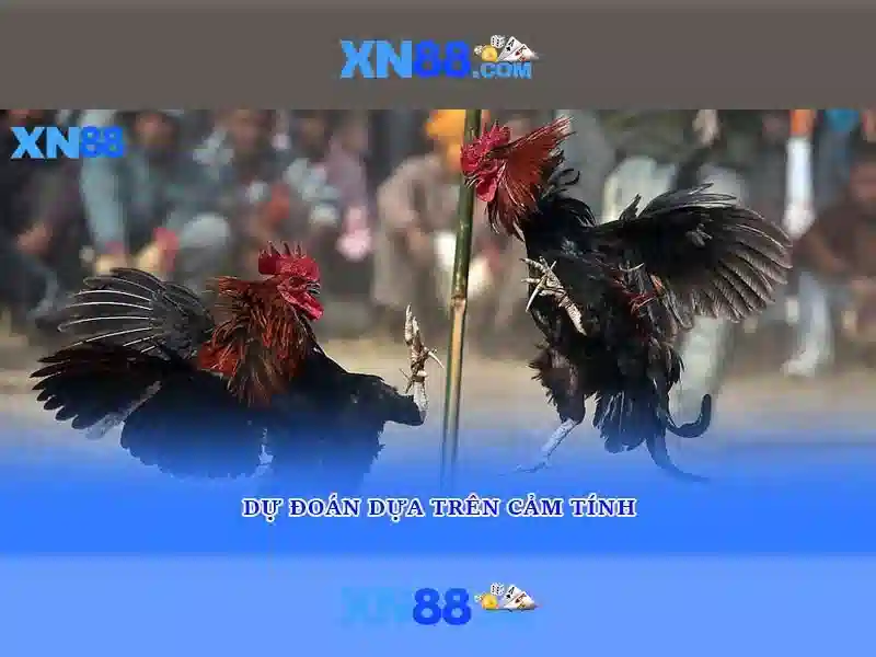 xn88: Nền tảng trực tuyến và trải nghiệm người chơi