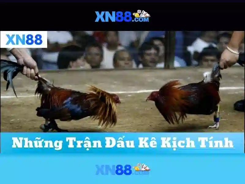 Độ tin cậy và hỗ trợ khách hàng