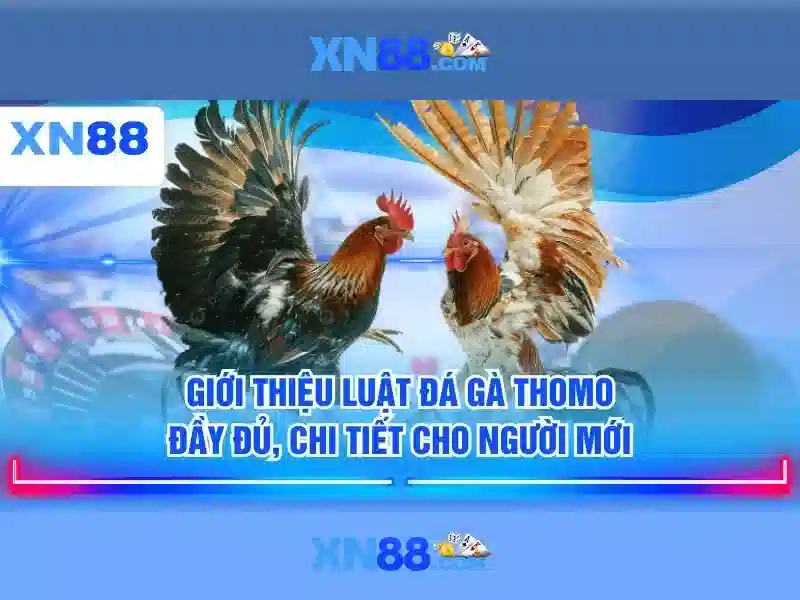Danh sách trò chơi và nhà cái