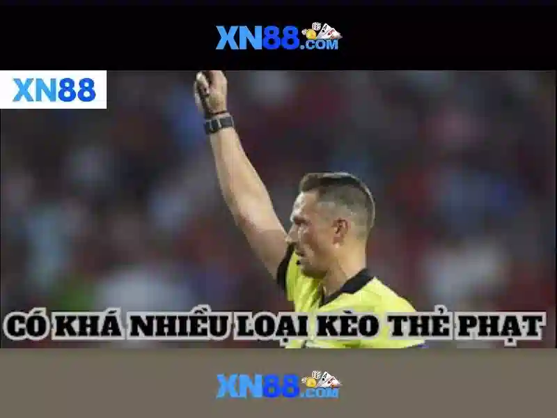 Kết luận về xn88