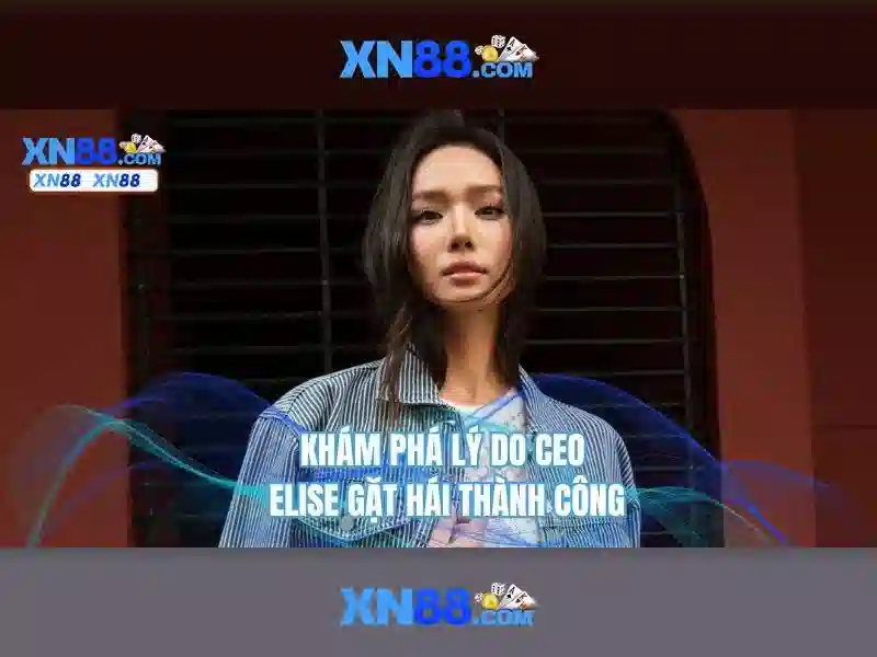 code xn88 – Tổng quan và trải nghiệm hấp dẫn