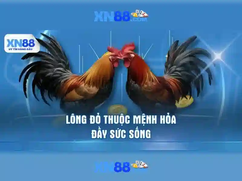 An toàn và bảo mật khi dùng xn88