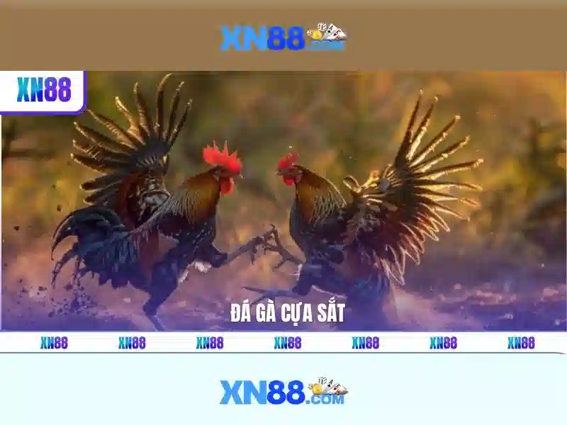 xn88: Nền tảng giải trí trực tuyến nổi bật