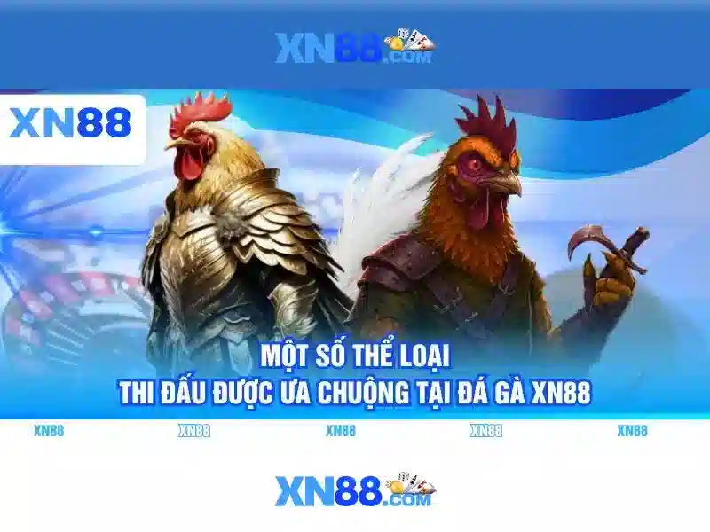 Giới thiệu về xn88
