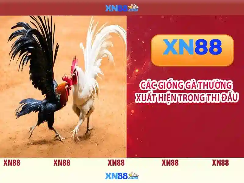 Lợi ích khi đăng ký xn88