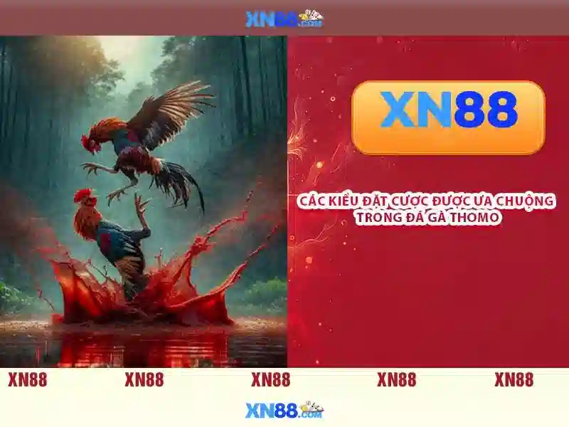 Khuyến mãi và hỗ trợ người chơi