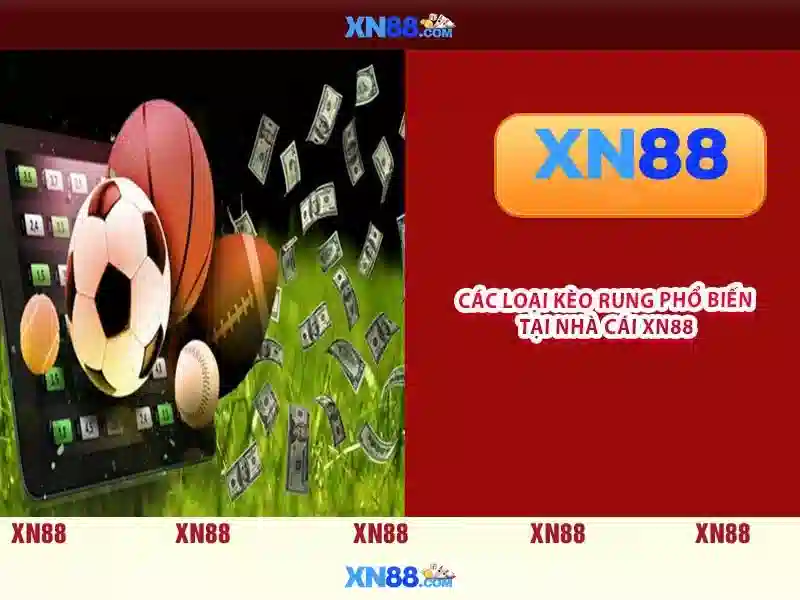 Trải nghiệm người dùng và hỗ trợ