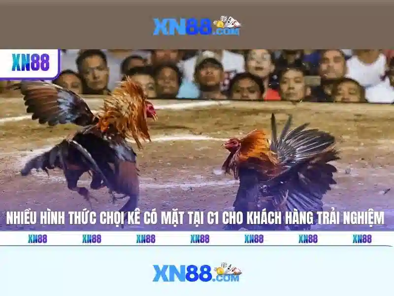 Khám phá xn88: nền tảng cược trực tuyến và cộng đồng người chơi