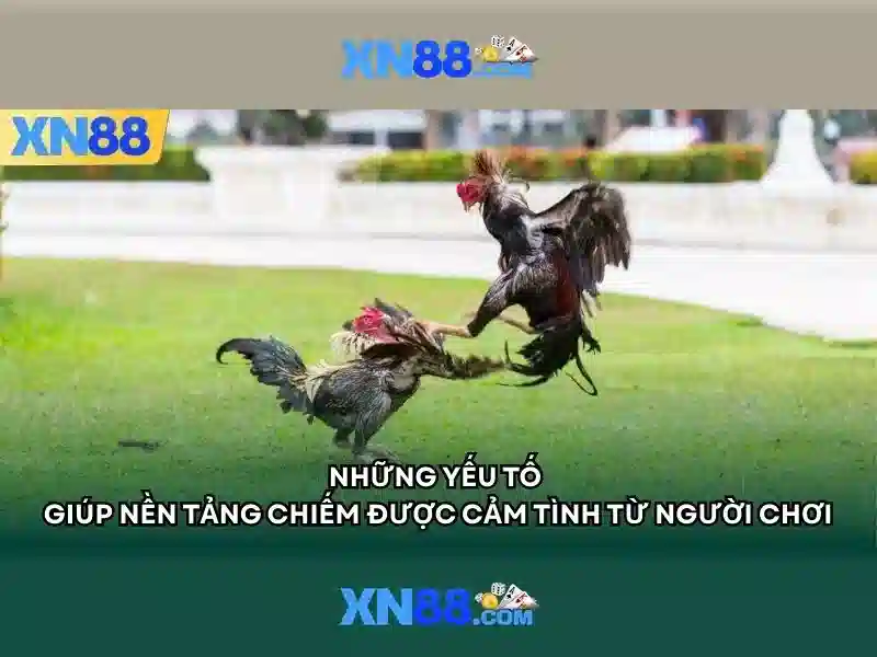 Các dịch vụ và sản phẩm