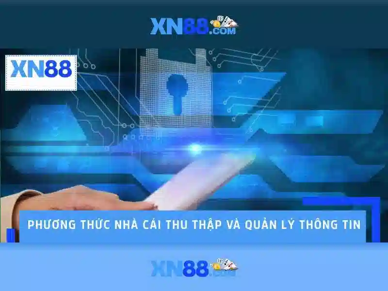  Trải nghiệm người dùng và cộng đồng
