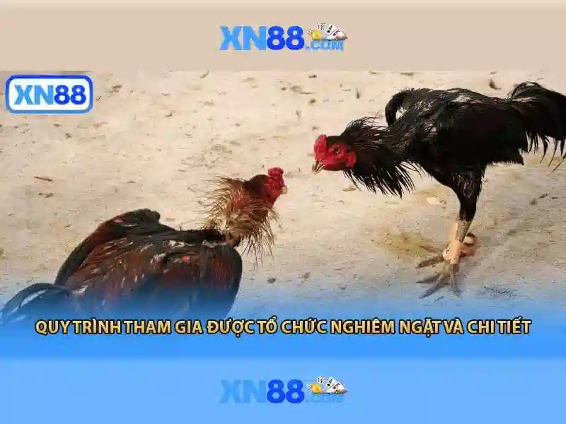 Nguồn gốc và mục đích