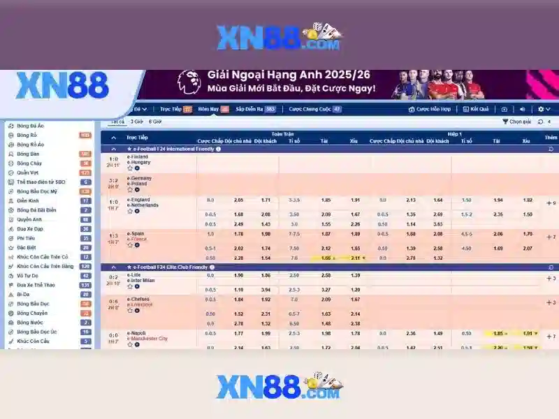 LicenseVerification-01