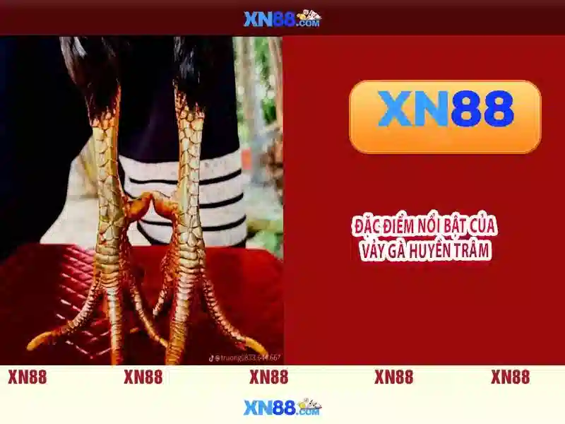 xn88: Nền tảng trò chơi trực tuyến uy tín và đa dạng