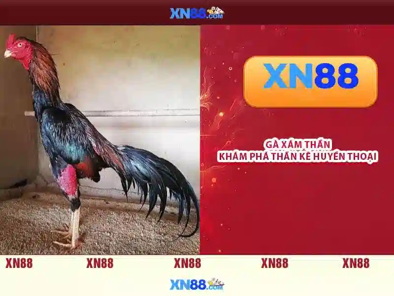 xn88 là gì và tác động của nó đối với cộng đồng trực tuyến