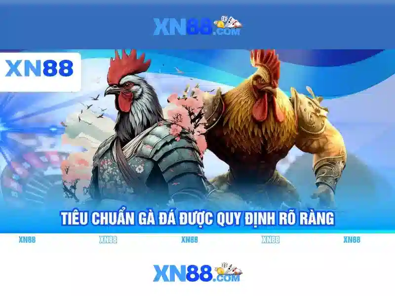 xn88: nền tảng giải trí trực tuyến và đánh giá tổng quan