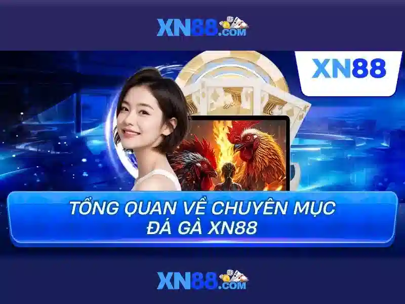 xn88: Đánh giá và tổng quan