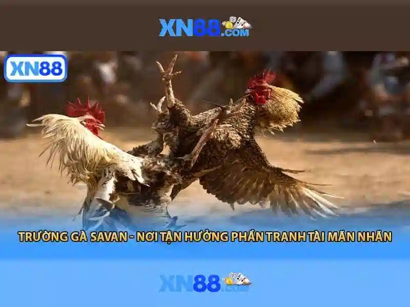 xn88 – Giới thiệu và các dịch vụ