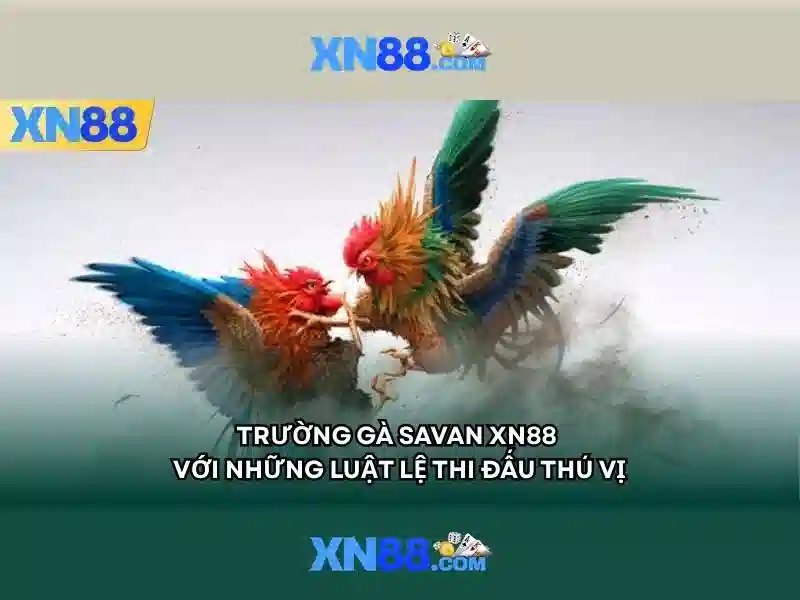 Giới thiệu về xn88