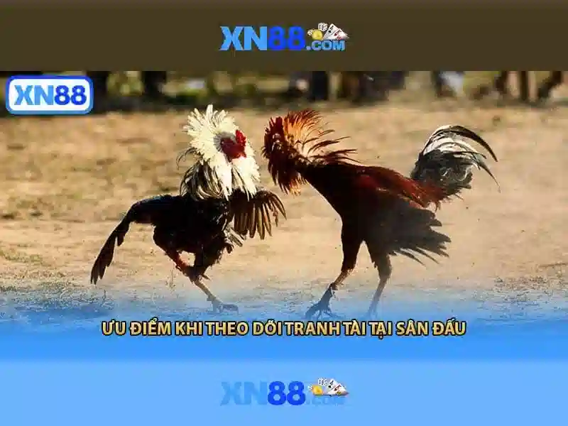 app xn88 – Trải nghiệm di động đỉnh cao và an toàn