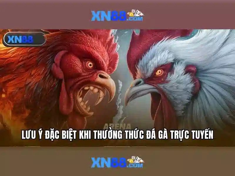 Kết luận