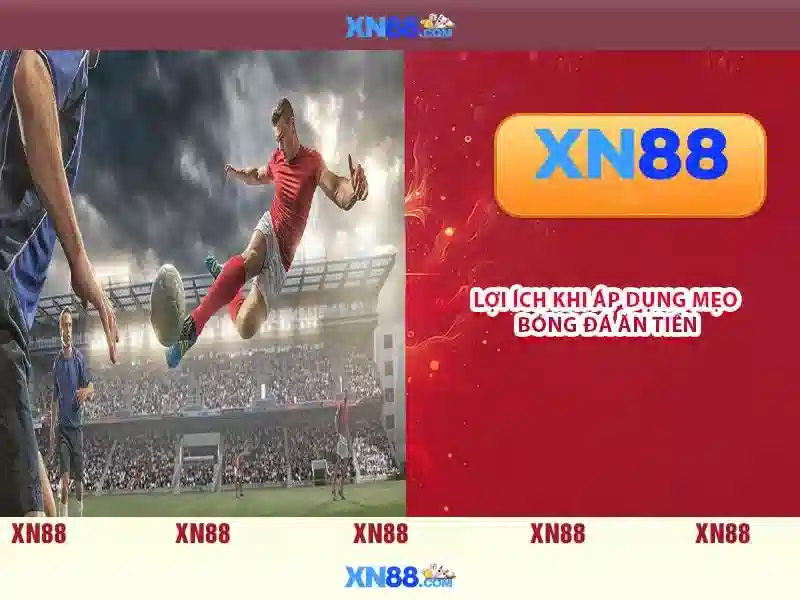 An toàn và trách nhiệm người dùng