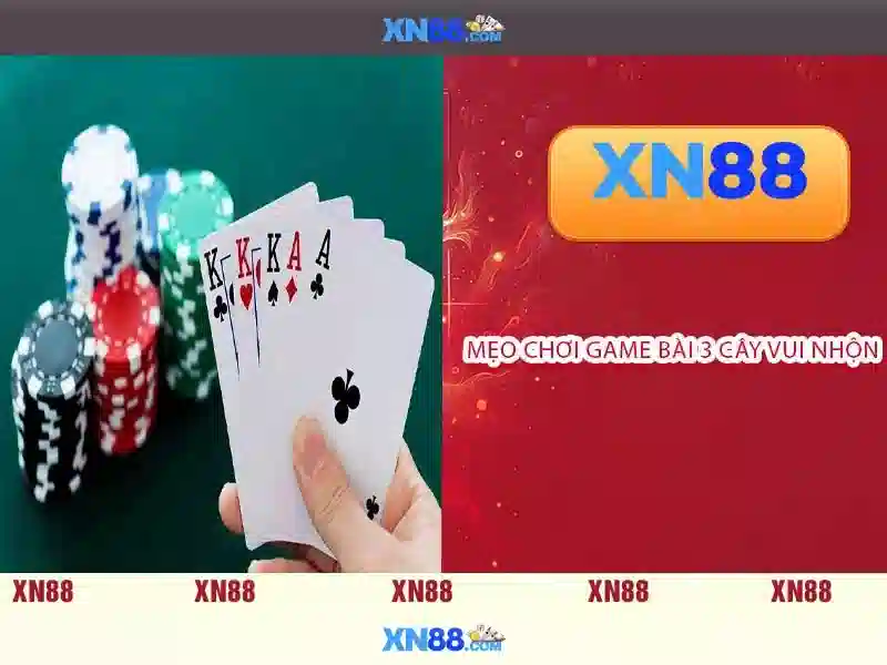 Giao diện người dùng và trải nghiệm