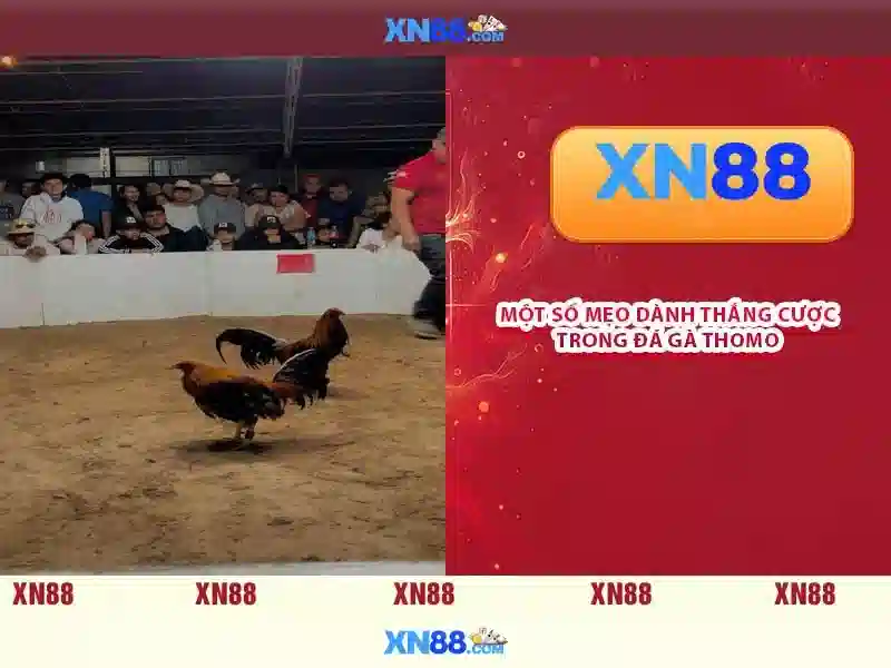Giới thiệu về xn88