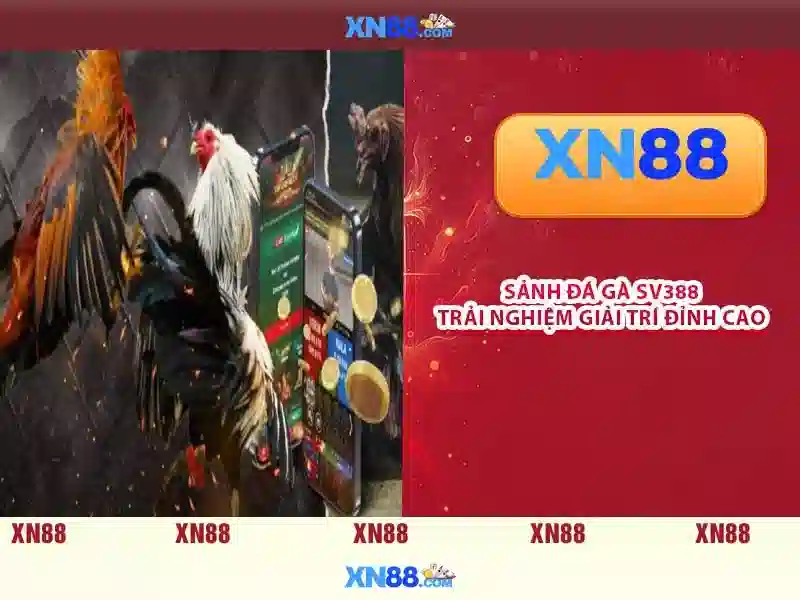 xn88 lucky – chủ đề và giá trị cốt lõi