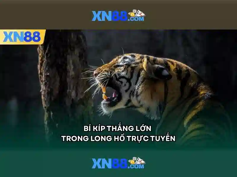 XN88: Giới thiệu và tiềm năng