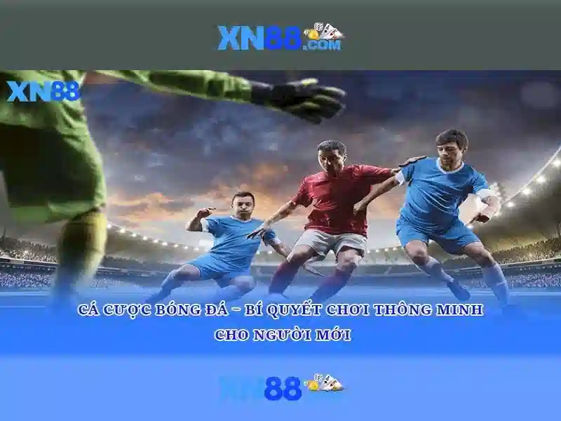 Giới thiệu về xn88