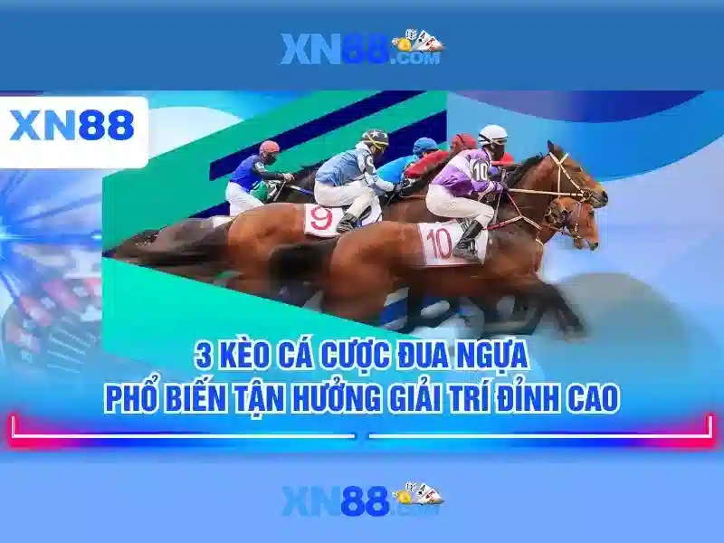 Các tính năng nổi bật