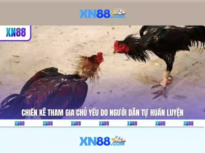 xn88 - Tổng quan nền tảng cá cược trực tuyến