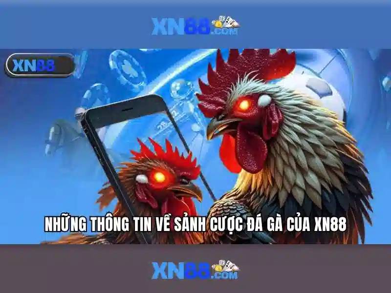 xn88: Tổng quan về nhà cái trực tuyến