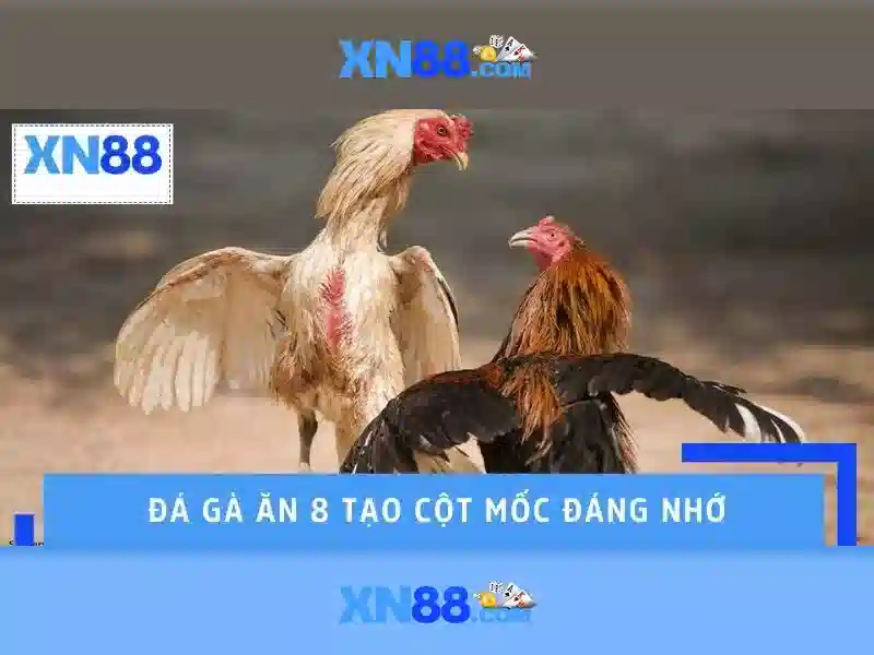 Giới thiệu về xn88: nền tảng giải trí trực tuyến