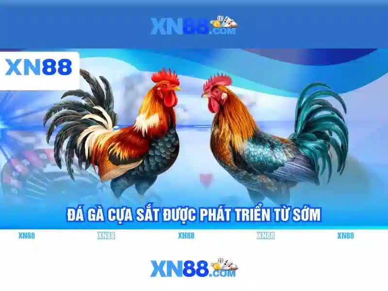Xn88: Tổng quan về nền tảng trò chơi trực tuyến và cộng đồng người chơi