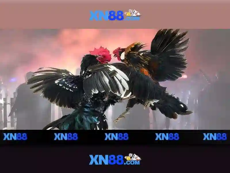 xn88: Tổng quan về nền tảng và tính năng