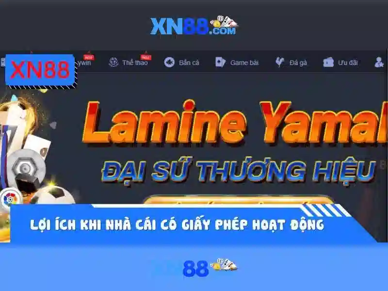 Xn88: Nhìn tổng quan về nền tảng chơi trực tuyến