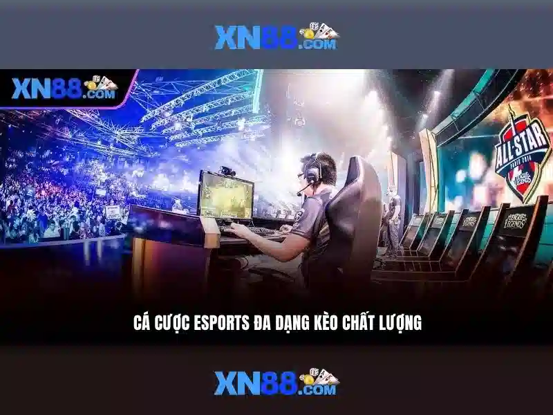 Giới thiệu về xn88