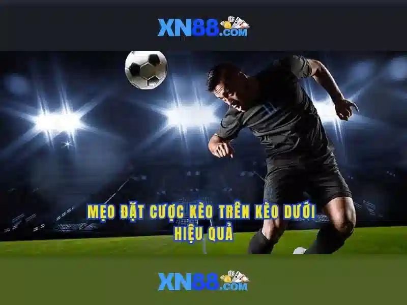 Khuyến mãi và kế hoạch thành viên