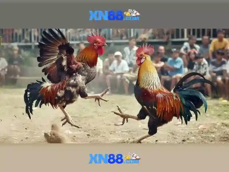 Khuyến mãi và chương trình khách hàng thân thiết