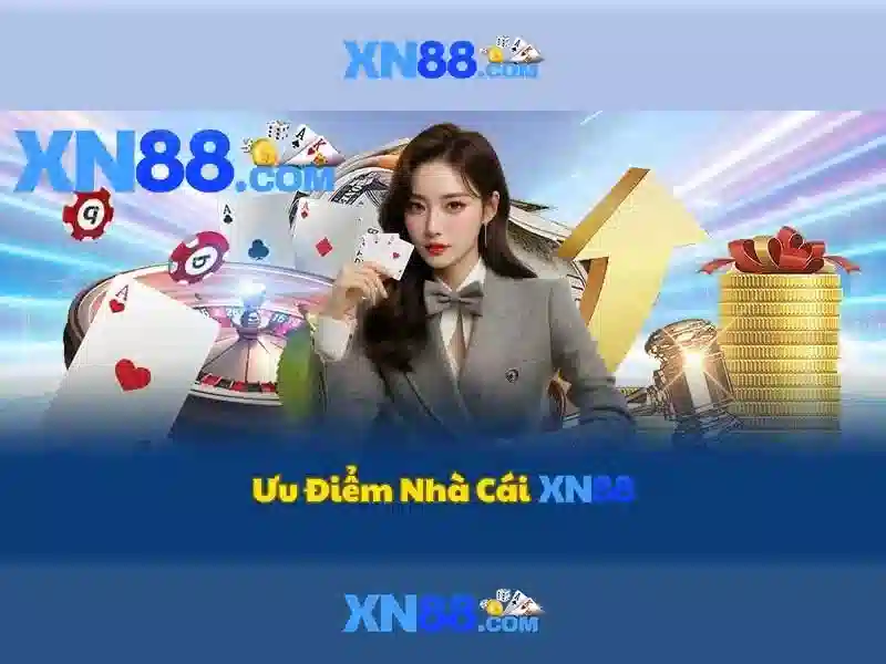 Trải nghiệm người dùng và phản hồi cộng đồng