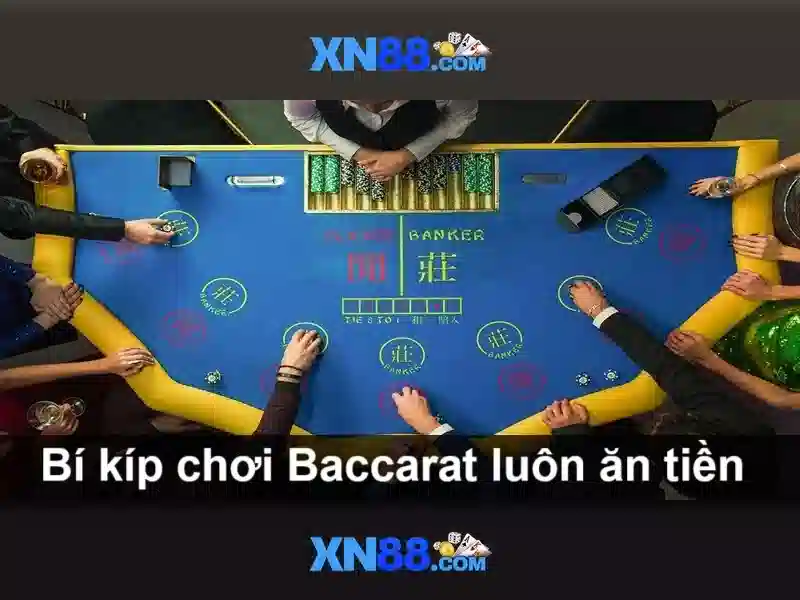Giới thiệu về xn88