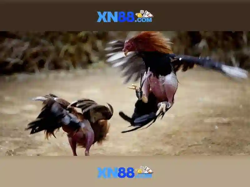 Lịch sử và nguồn gốc