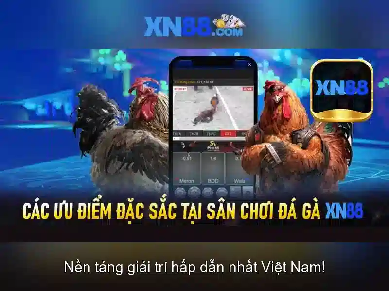 xn88: Tổng quan và nhìn nhận