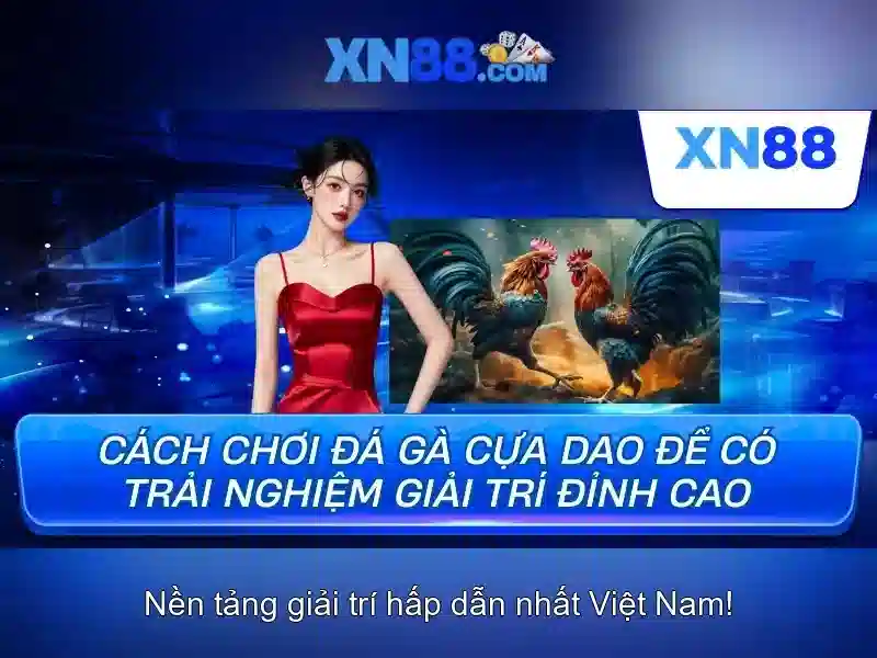 Hướng dẫn tham gia xn88