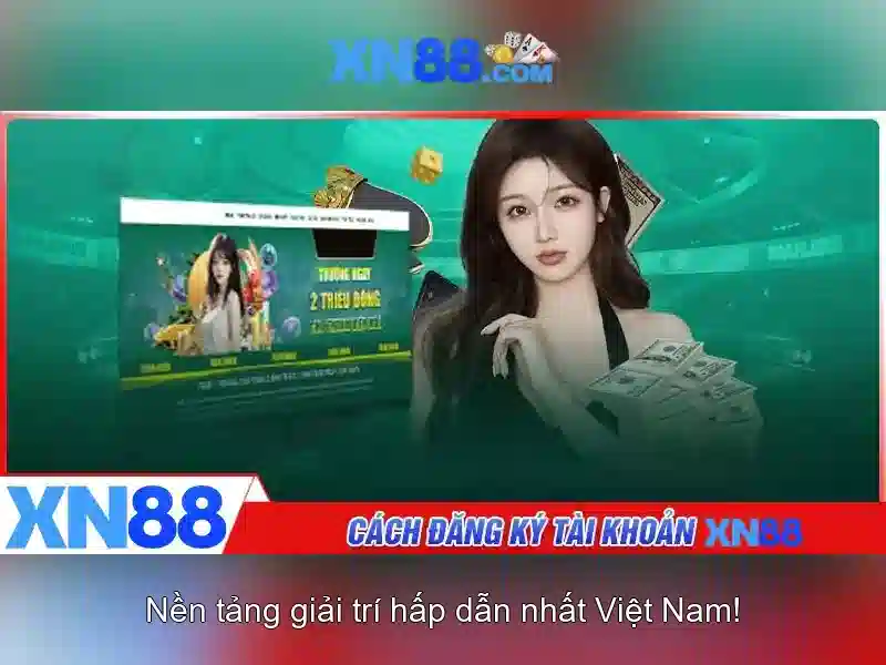 Giải thích các dịch vụ của xn88