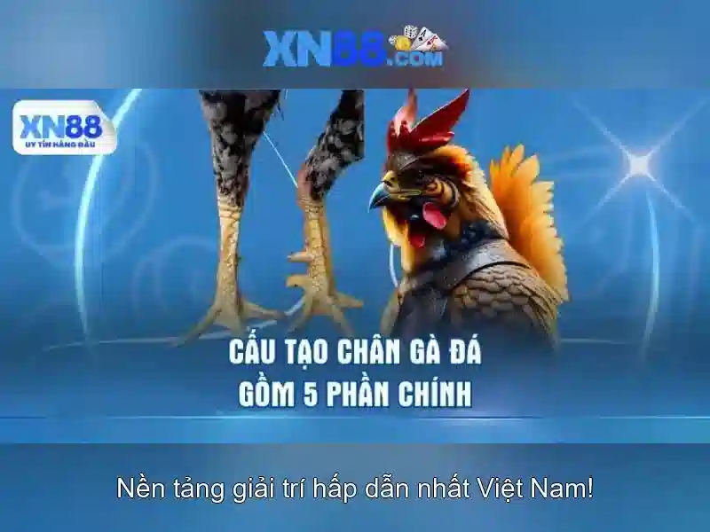 xn88 - Cổng thông tin và đánh giá