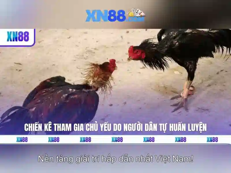 Bảo mật và quyền riêng tư