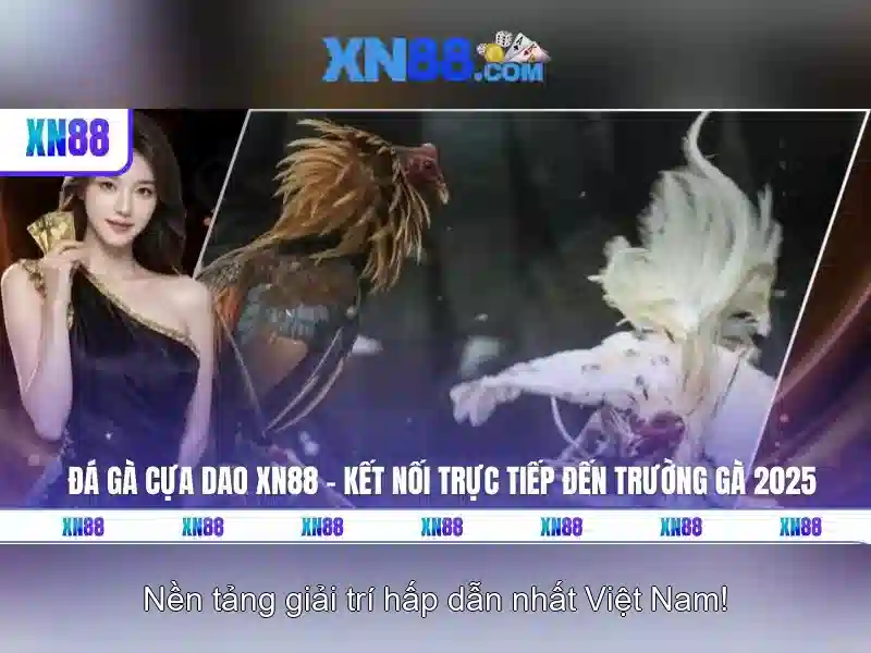 Giới thiệu về xn88